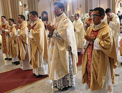 Creación de la Diócesis