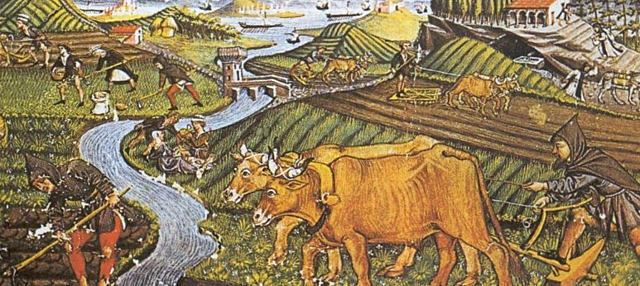 Consolidación Latifundio