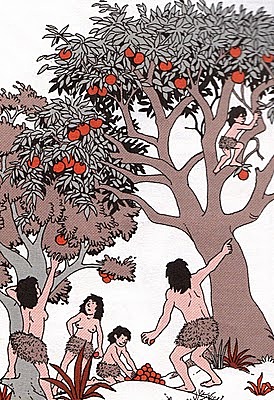 Recolección de Frutos y Pesca