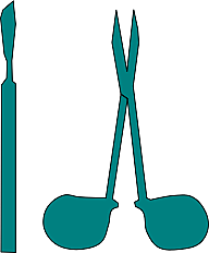 cirugia esterilizadora