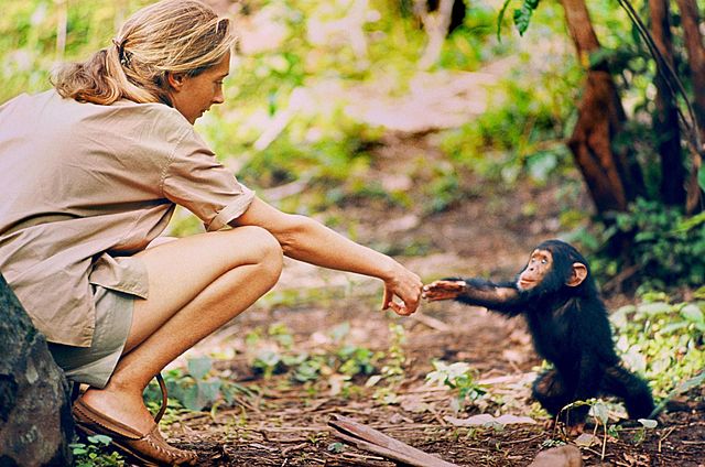 Jane Goodall
