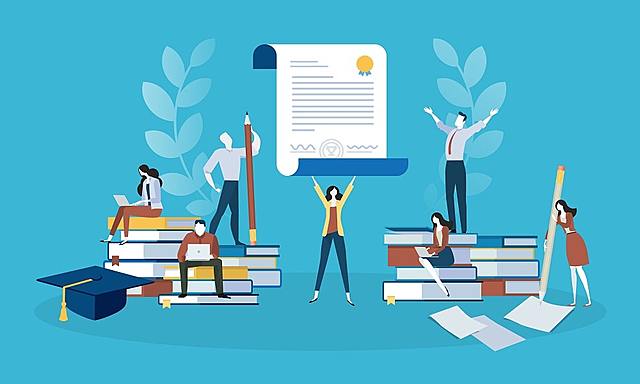 Bibliotecología como profesión