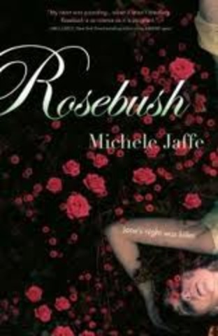 Roshbush by Michele Jaffe