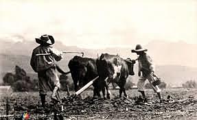 Los españoles en la agricultura mexicana