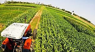 Produccion de cultivos