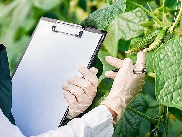 Sociedad de Toxicología de Estados Unidos