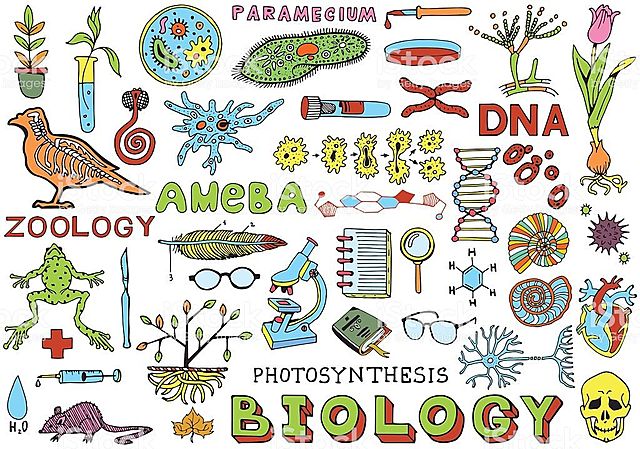 Gottfried Treviranus y Jean Baptiste de Lamarck
