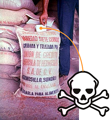 Desastre del grano envenenado