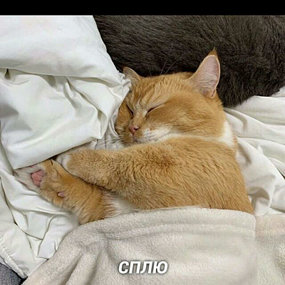 Timeline: Мой 10 класс. Школьная пора.