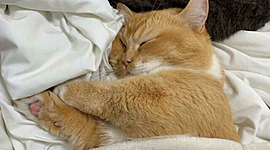 Timeline: Мой 10 класс. Школьная пора.