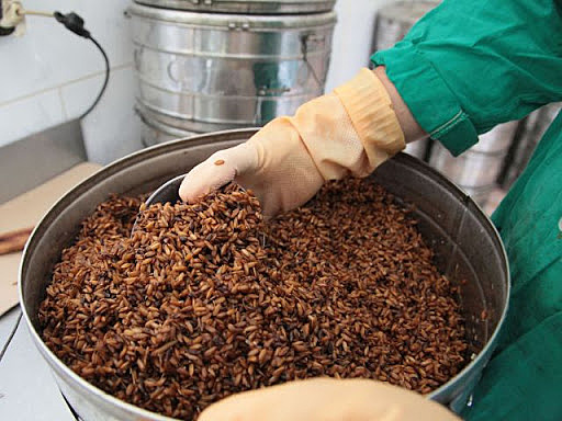 Uso masivo de Biorat