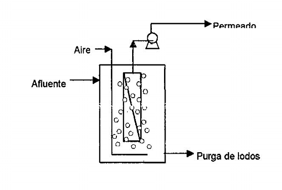 Desarrollo de biorreactor de membrana en Japón