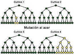 John Burdon Sanderson Haldane
