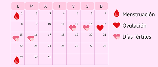 calendario menstrual o calendario de días fertiles