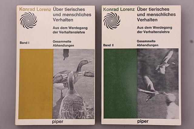 Der Kumpan in der Umwelt des Vogels