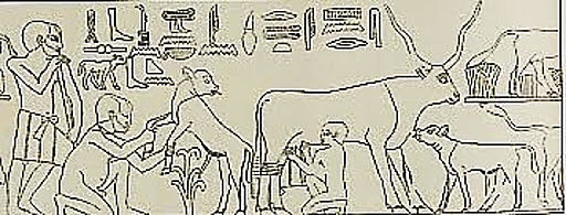 Egipto: Papiro de Kahun.