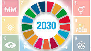 FUTURAS PROYECCIONES 2030