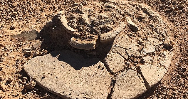 CULTURA DE LOS CAMPO DE URNAS