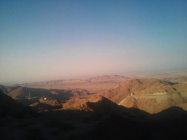 una pandemia y una desicion