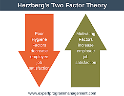 Hygiene and Motivational Factors