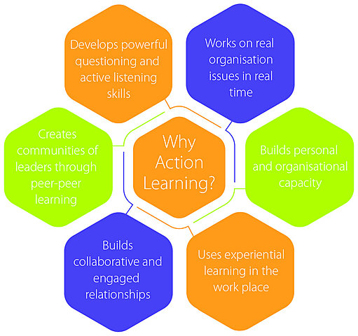 Action Learning