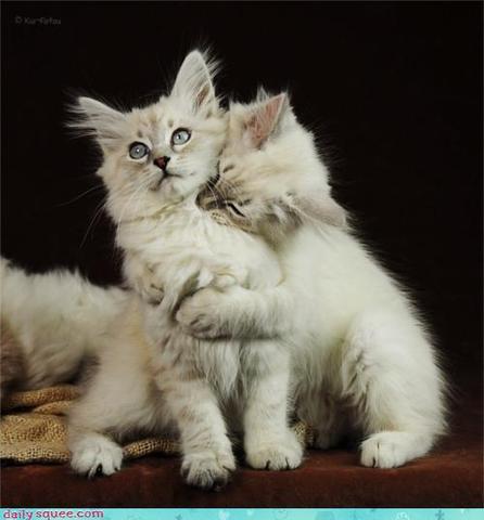 Hitler's mother dies