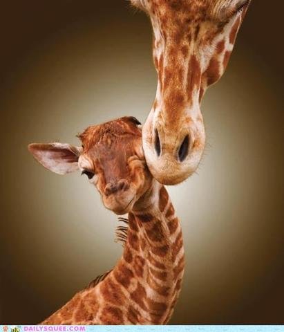 Hitler signs up for the German army