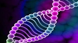 Timeline: ANTECEDENTES E HISTORIA DE LA GENETICA. CARLOS ALFONSO VALENZUELA DIAZ. 182C24126