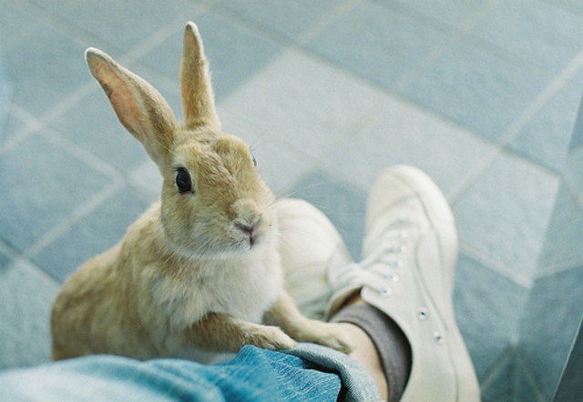 Hitler put in Landsberg prison