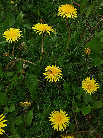 1 сентября. Знакомство с классом.