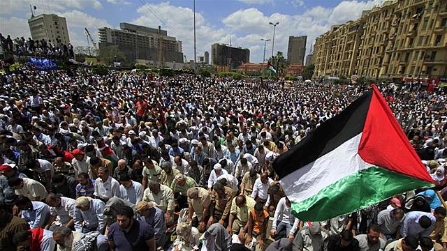 Arab recinoized the PLO