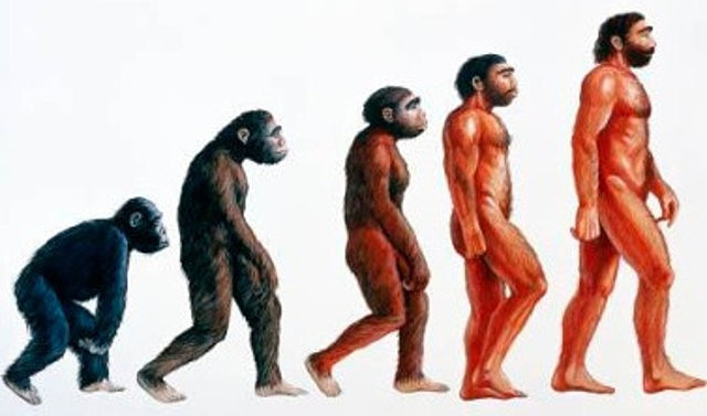 Hominizazio prozesua