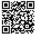 Curiosidade sobre meme