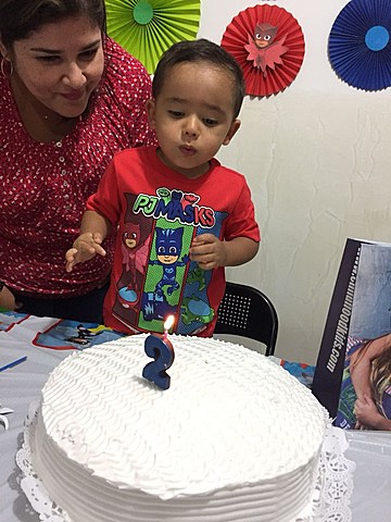 Mi segundo año de vida