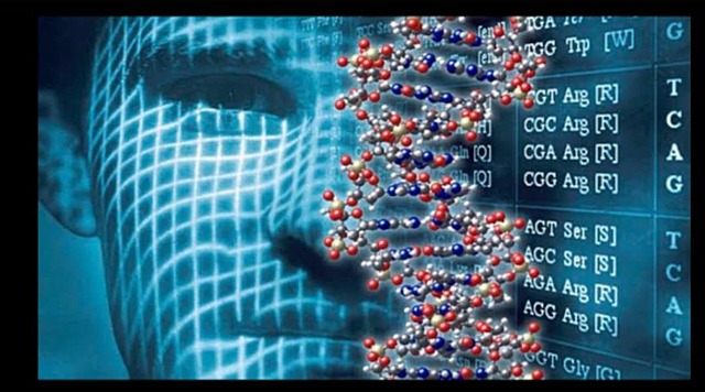 Genoma humano descifrado