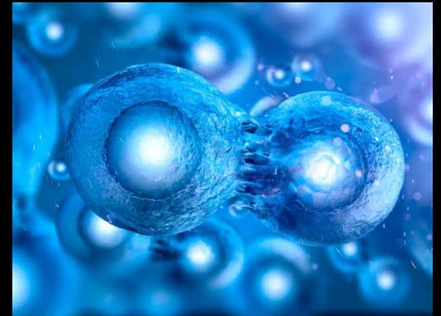 Re programación celular