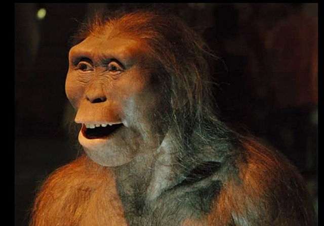 Homínido más antiguo hallado