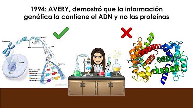 Información genética en el ADN