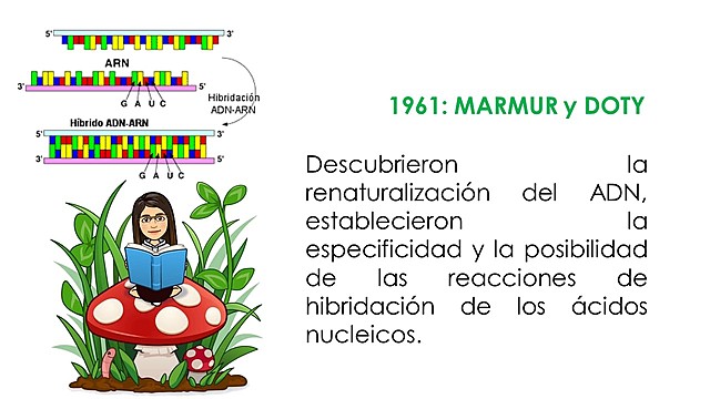 Hibridación de ácidos nucleicos