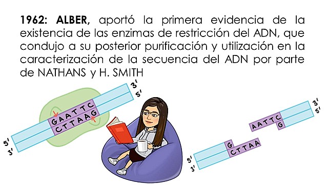 Enzimas de restricción de ADN