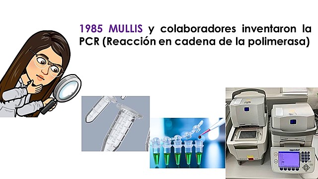 PCR