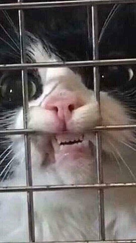 Последний день на воле. Начало карантина.