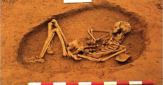 Cultura de los sepulcros de fosa