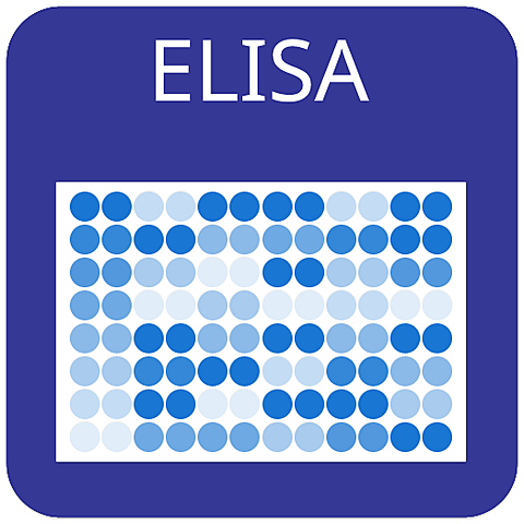 Development of ELISA test to screen for diseases such as HIV