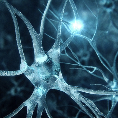 Timeline: &nbsp;"Avances más importantes de la biología en los últimos dos siglos"&nbsp;