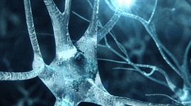 Timeline: &nbsp;"Avances más importantes de la biología en los últimos dos siglos"&nbsp;