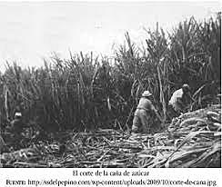 La destrucción de los campos cosechados