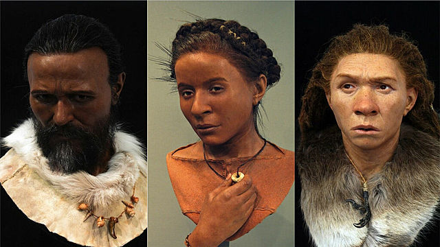 Hombre de Cromañón (Homo Sapiens Sapiens)