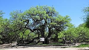 San Luis (Argentina) 2004