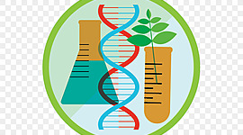 Timeline: Historia de la biotecnología